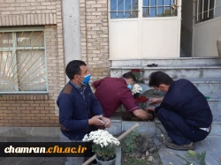 کاشت گل و زیباسازی محوطه پردیس شهید چمران 7