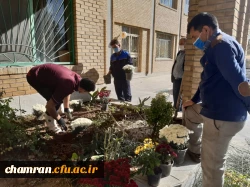 کاشت گل و زیباسازی محوطه پردیس شهید چمران 8
