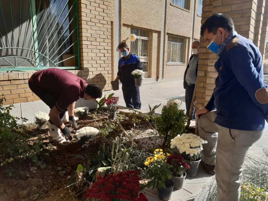 کاشت گل و زیباسازی محوطه پردیس شهید چمران 8