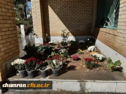 کاشت گل و زیباسازی محوطه پردیس شهید چمران 9