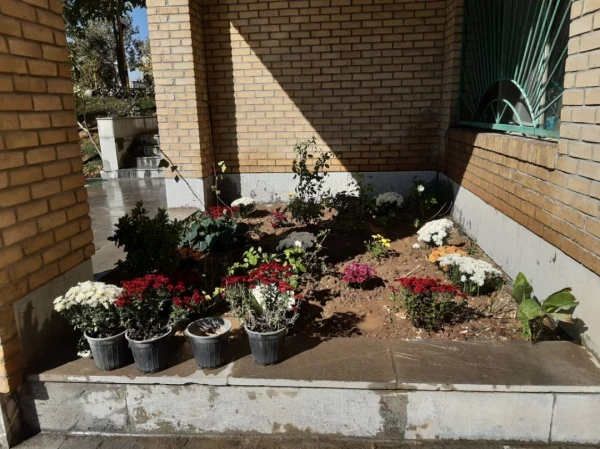 کاشت گل و زیباسازی محوطه پردیس شهید چمران 9
