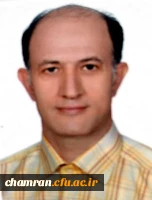 محسن حلاجی 2