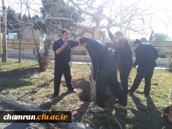 درختکاری در فضای سبز پردیس شهید چمران 2