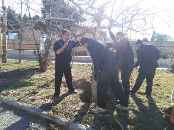 درختکاری در فضای سبز پردیس شهید چمران 2