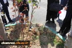 درختکاری در فضای سبز پردیس شهید چمران 3