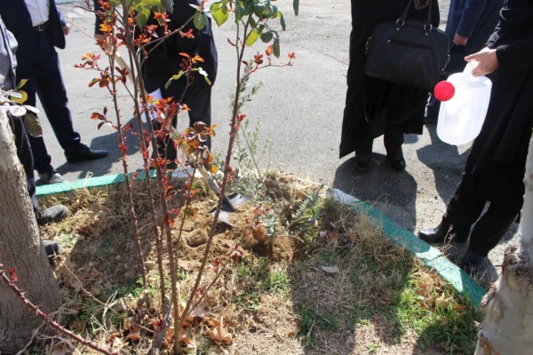 درختکاری در فضای سبز پردیس شهید چمران 3