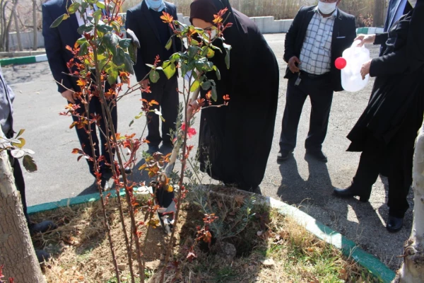درختکاری در فضای سبز پردیس شهید چمران 4