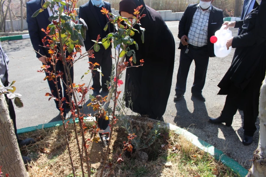 درختکاری در فضای سبز پردیس شهید چمران 4