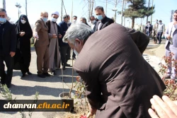 درختکاری در فضای سبز پردیس شهید چمران 5