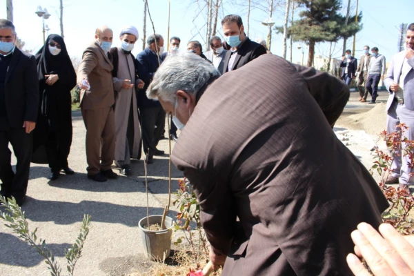 درختکاری در فضای سبز پردیس شهید چمران 5