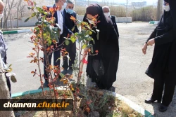 درختکاری در فضای سبز پردیس شهید چمران 6