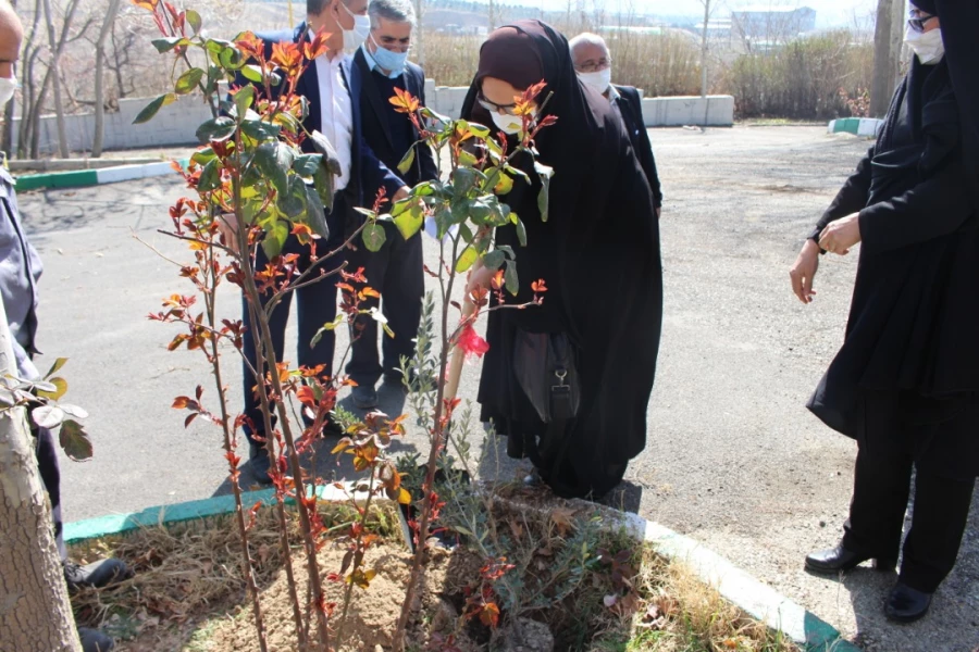 درختکاری در فضای سبز پردیس شهید چمران 6