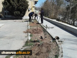 درختکاری در فضای سبز پردیس شهید چمران 7