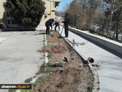 درختکاری در فضای سبز پردیس شهید چمران
