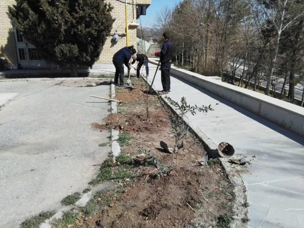 درختکاری در فضای سبز پردیس شهید چمران 7