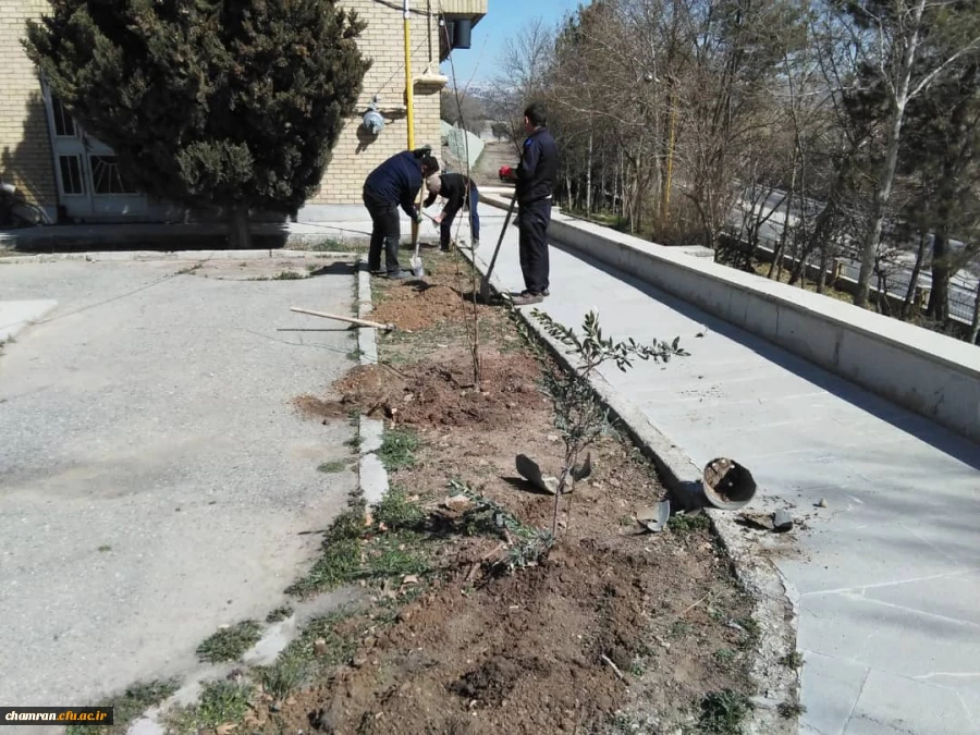 درختکاری در فضای سبز پردیس شهید چمران 7