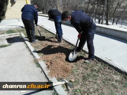 درختکاری در فضای سبز پردیس شهید چمران 9