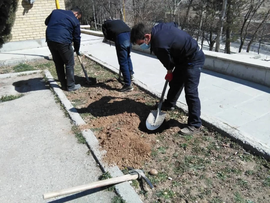 درختکاری در فضای سبز پردیس شهید چمران 9
