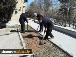 درختکاری در فضای سبز پردیس شهید چمران 10