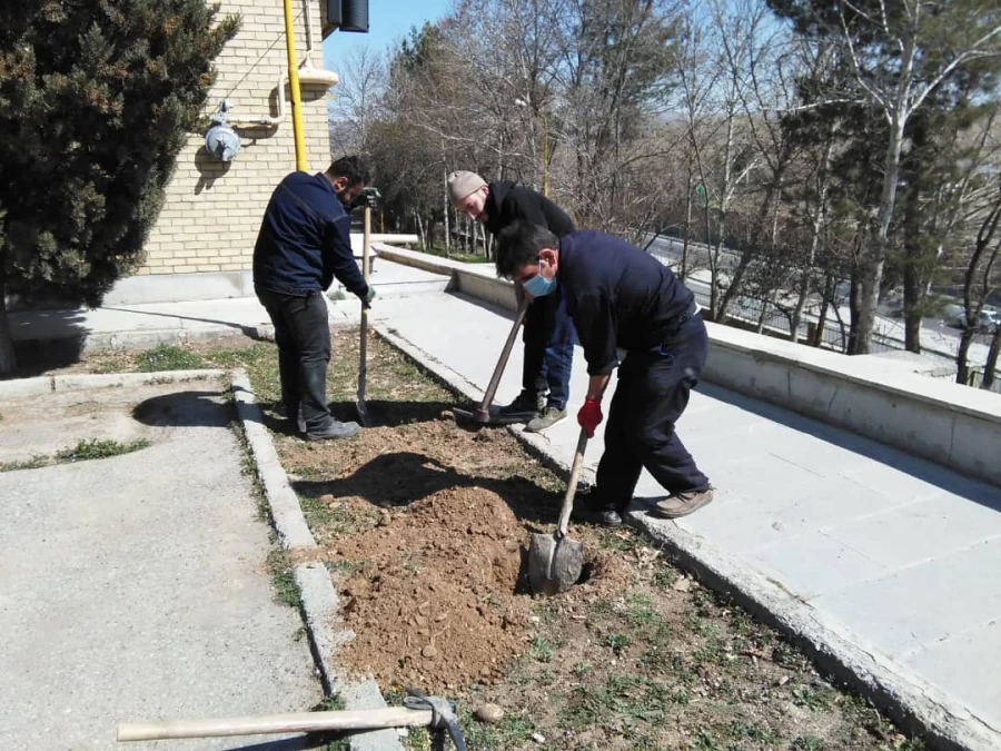 درختکاری در فضای سبز پردیس شهید چمران 10