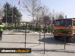 آمادگی برای استقبال از شهید گمنام 6