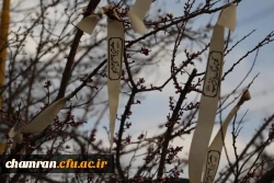 تشییع و به خاک سپاری شهید گمنام در پردیس شهید چمران 17