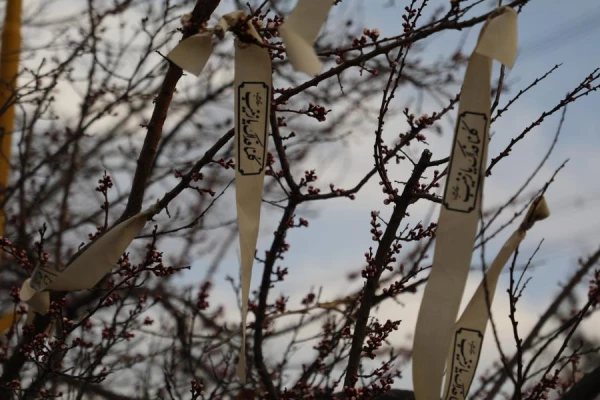 تشییع و به خاک سپاری شهید گمنام در پردیس شهید چمران 17