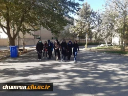 برنامه های ویژه  همکاران در پردیس شهید چمران به مناسبت هفته تربیت بدنی و ورزش 5