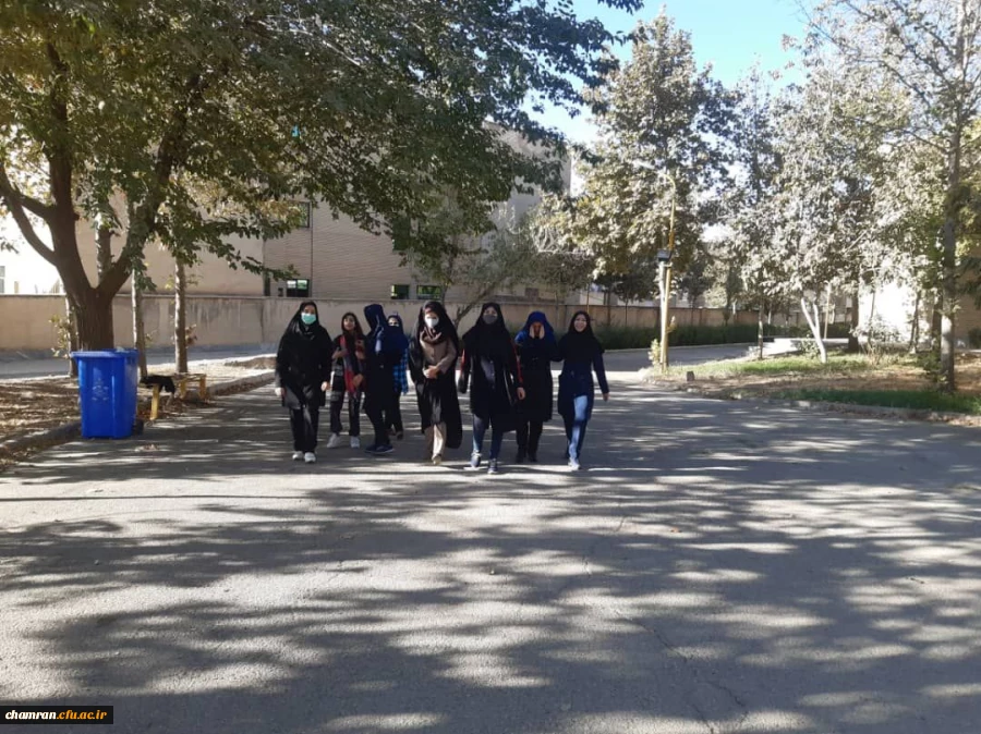 برنامه های ویژه  همکاران در پردیس شهید چمران به مناسبت هفته تربیت بدنی و ورزش 5