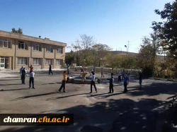 برنامه های ویژه  همکاران در پردیس شهید چمران به مناسبت هفته تربیت بدنی و ورزش 6