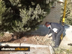 حضور و بازدید میدانی پروفسور محمدی و هیئت همراه از پردیس شهید چمران 3