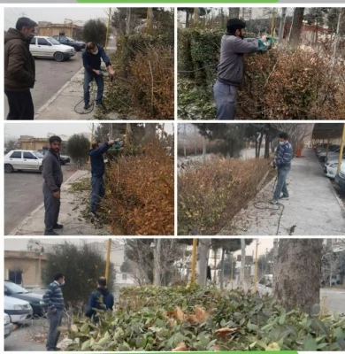 ادامه انجام پروژه های عمرانی در پردیس شهید چمران 11