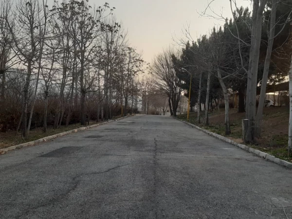 انجام پروژه زیباسازی فضای سبز پردیس شهید چمران 2