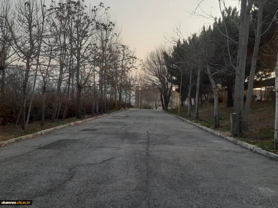 انجام پروژه زیباسازی فضای سبز پردیس شهید چمران 2