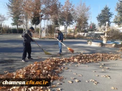 انجام پروژه زیباسازی فضای سبز پردیس شهید چمران 3