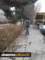 انجام پروژه زیباسازی فضای سبز پردیس شهید چمران 4