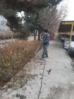 انجام پروژه زیباسازی فضای سبز پردیس شهید چمران 4