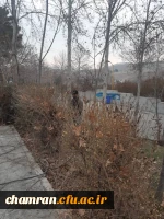 انجام پروژه زیباسازی فضای سبز پردیس شهید چمران 5