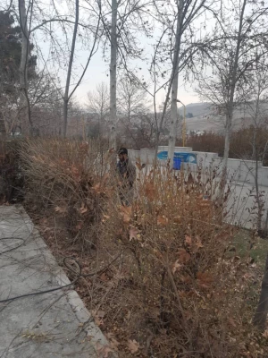 انجام پروژه زیباسازی فضای سبز پردیس شهید چمران 5