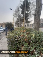 انجام پروژه زیباسازی فضای سبز پردیس شهید چمران 6