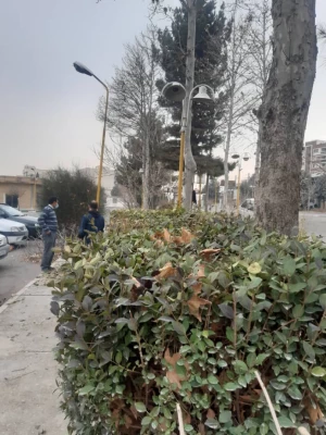 انجام پروژه زیباسازی فضای سبز پردیس شهید چمران 6