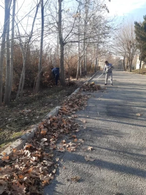 انجام پروژه زیباسازی فضای سبز پردیس شهید چمران 7