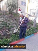 درختکاری در فضای سبز پردیس شهید چمران 2