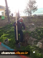 درختکاری در فضای سبز پردیس شهید چمران 3