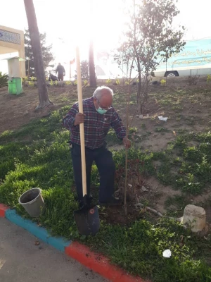 درختکاری در فضای سبز پردیس شهید چمران 3