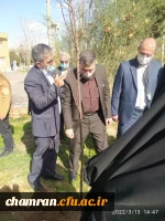 درختکاری در فضای سبز پردیس شهید چمران 5