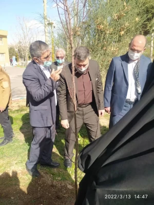 درختکاری در فضای سبز پردیس شهید چمران 5