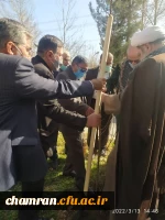 درختکاری در فضای سبز پردیس شهید چمران 6