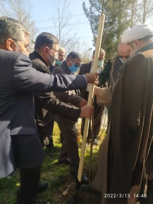 درختکاری در فضای سبز پردیس شهید چمران 6