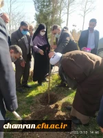 درختکاری در فضای سبز پردیس شهید چمران 8